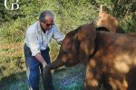 Dr Singer Meets an Orphaned Elephant in Kenya