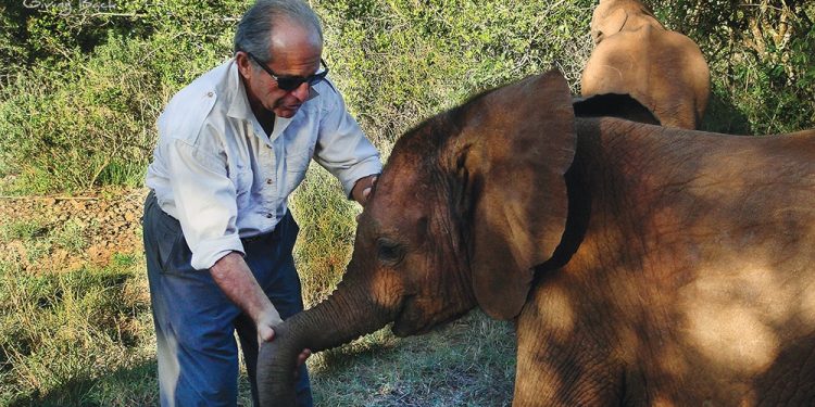 Dr Singer Meets an Orphaned Elephant in Kenya