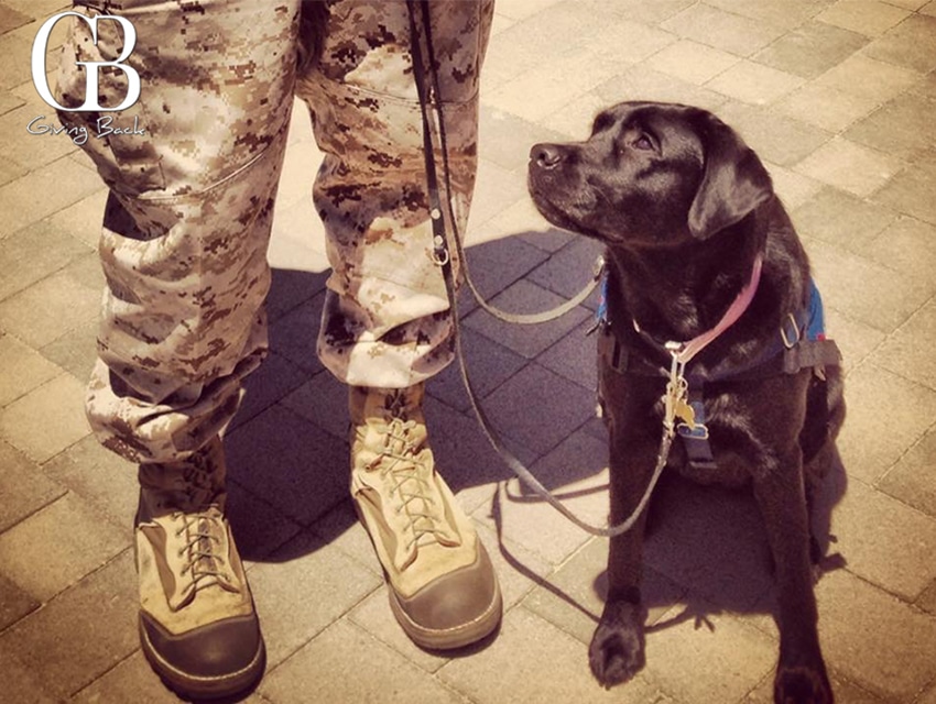 10 Things About SSgt. James C. Henninger & Freedom Dogs