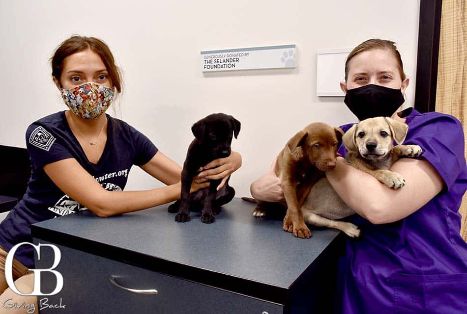 10 Things About Jessica Lundgren & <br> Helen Woodward Animal Center