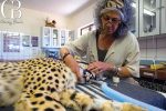 3.Laurie Marker at the CCF Conservation Centre in Otjiwarongo, Namibia