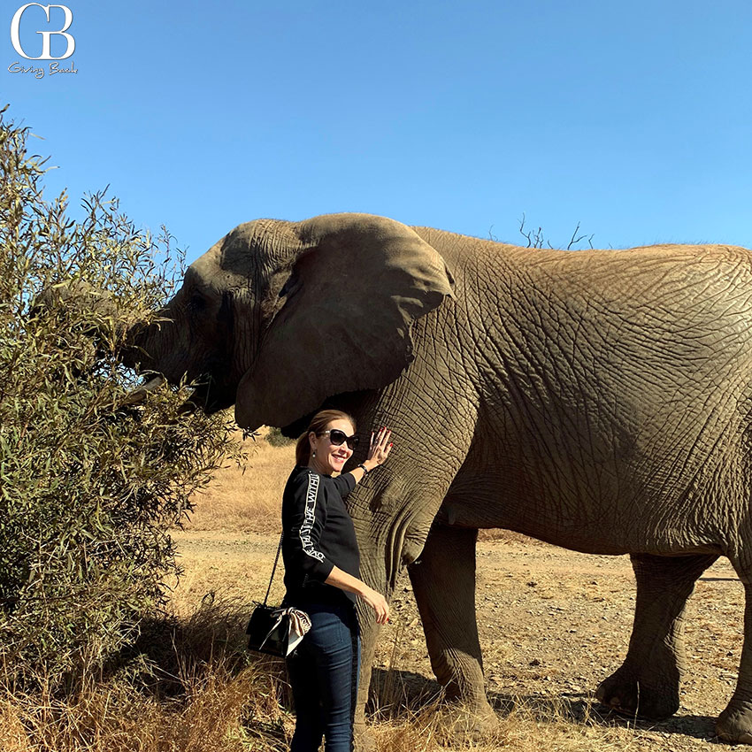 Stephanie Kourie with elephant