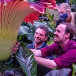 10 Things About Ari Novy & San Diego Botanic Garden