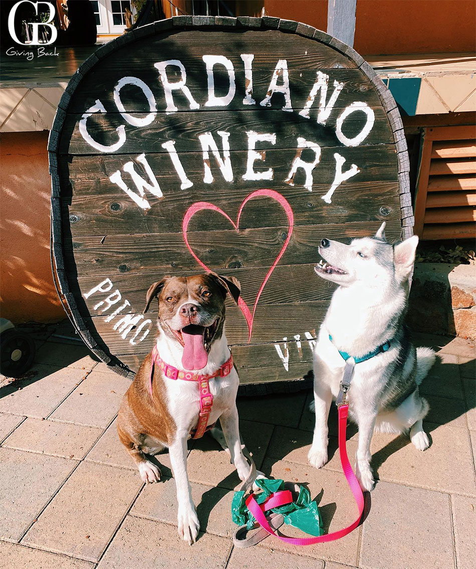 Cordiano winery