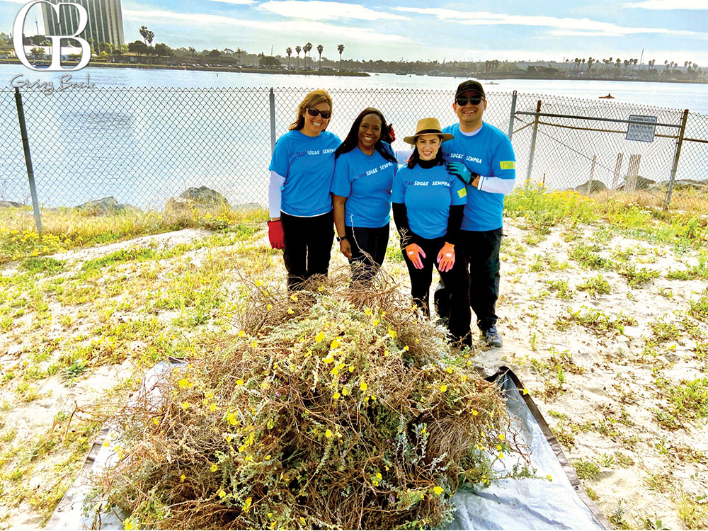 SDGE Least Tern Protection group