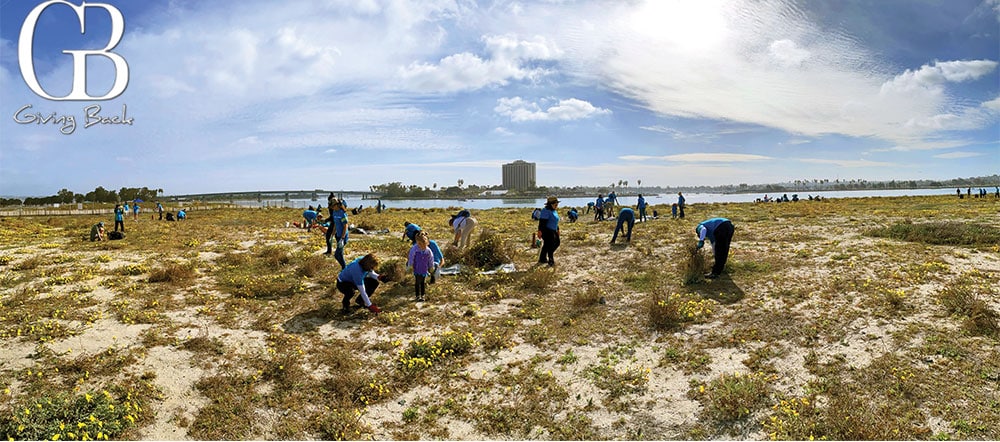 SDGE Least Tern Protection in work