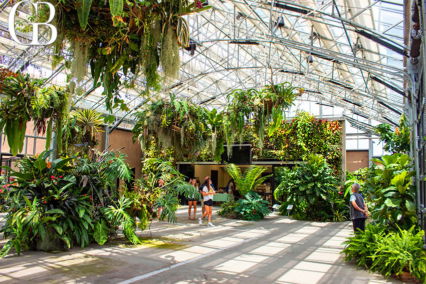 10 Things About Randi Coopersmith & San Diego Botanic Garden