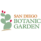 Explore the San Diego Botanic Garden: A 37-Acre Oasis