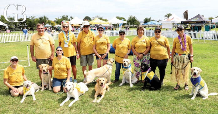 The Village Hounds
