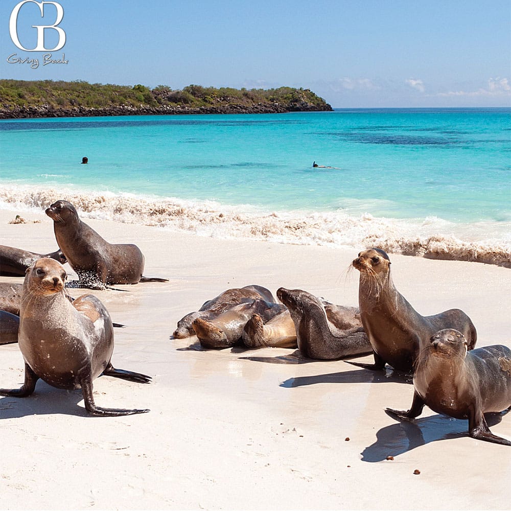 Galápagos Islands Ecuador