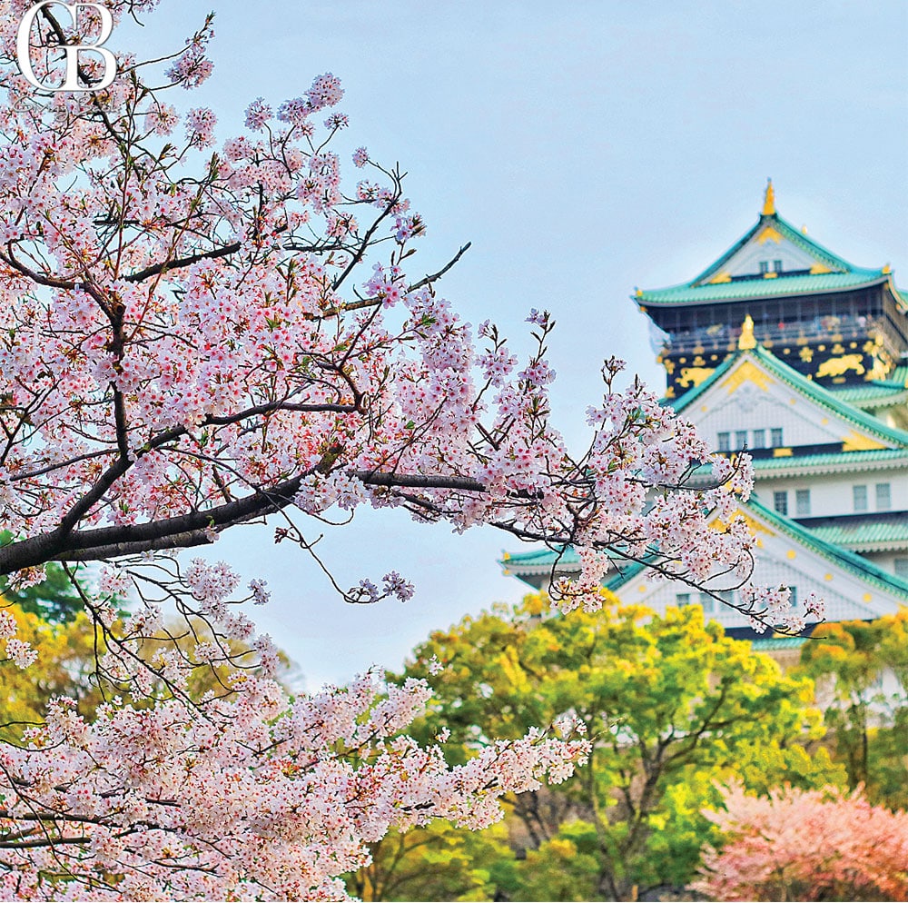 Japans Cherry Blossom Season