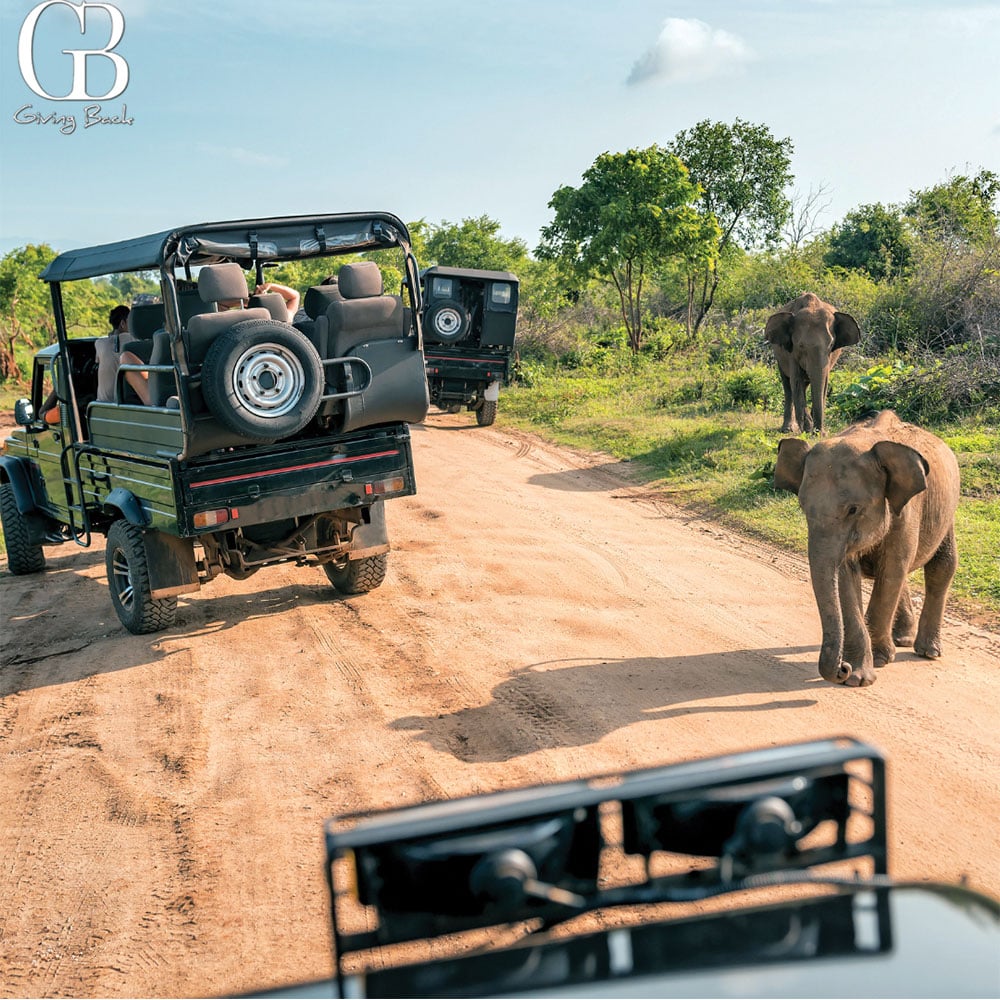 Tanzania Botswana Safari