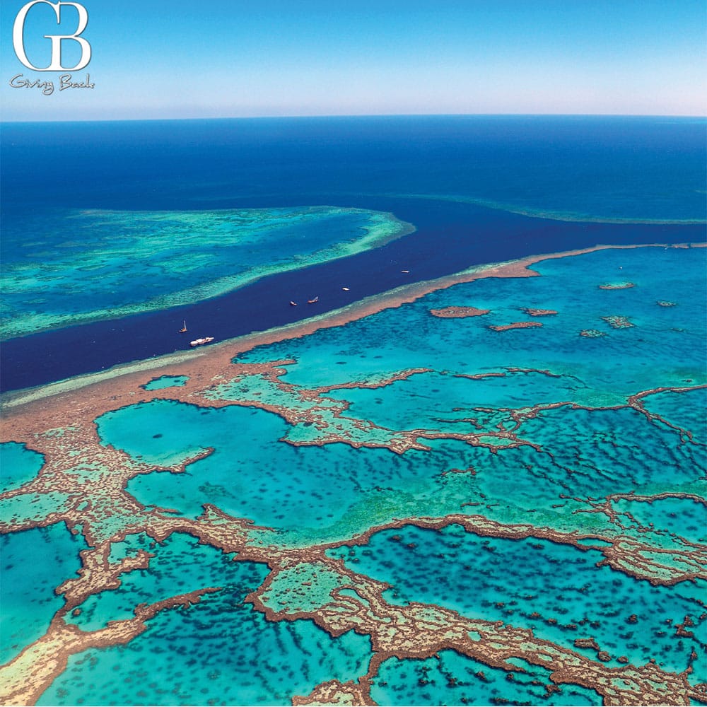 The Great Barrier Reef Australia