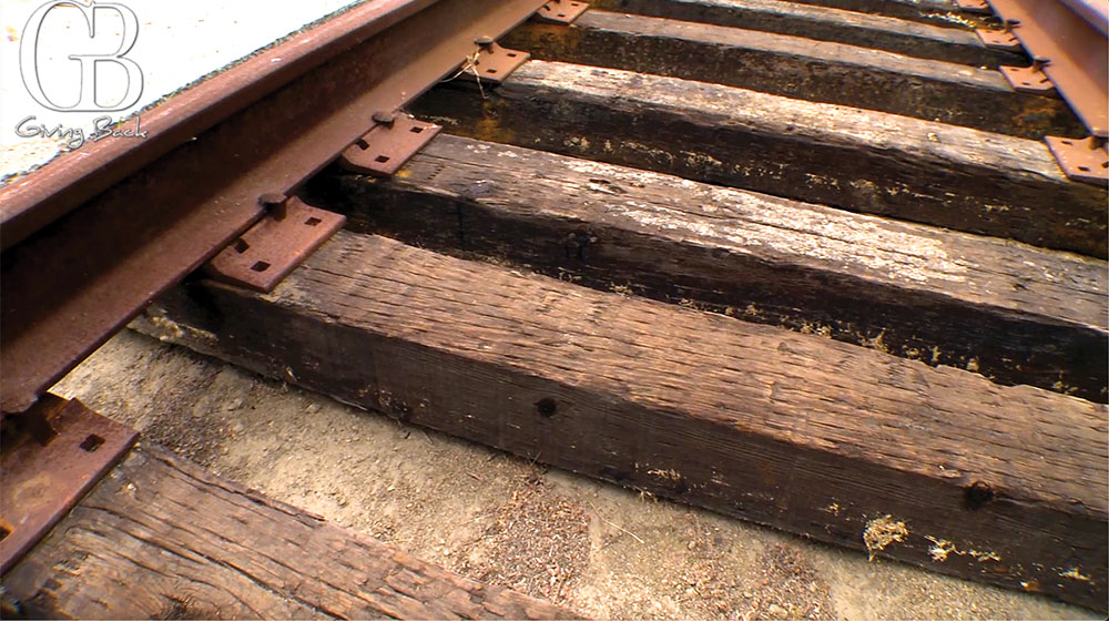 The-Santa-Fe-Railroad-needed-millions-of-trees-to-meet-its-demand-for-wood - GB Magazine The Santa Fe Railroad needed millions of trees to meet its demand for wood