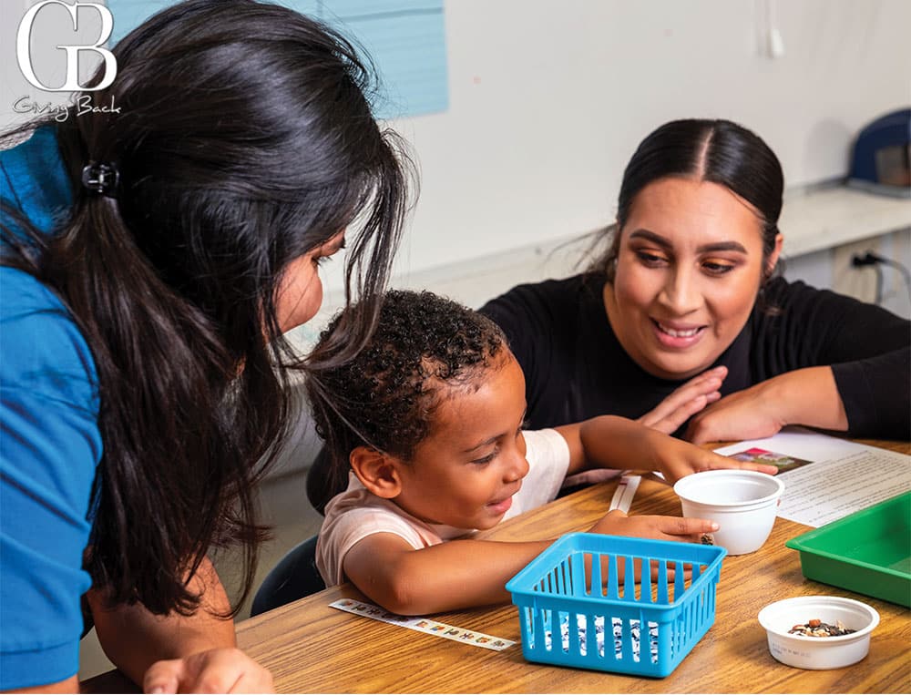 Diamond Educational Excellence Partnership