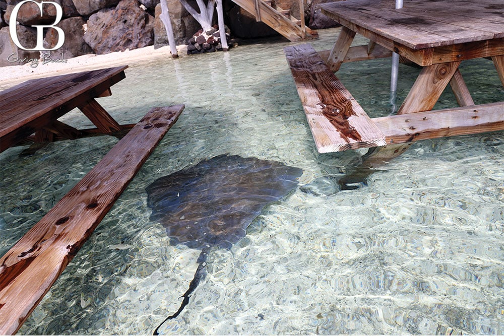Lunch with friends in Bora Bora