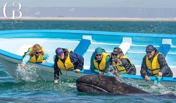 Panga boat interaction