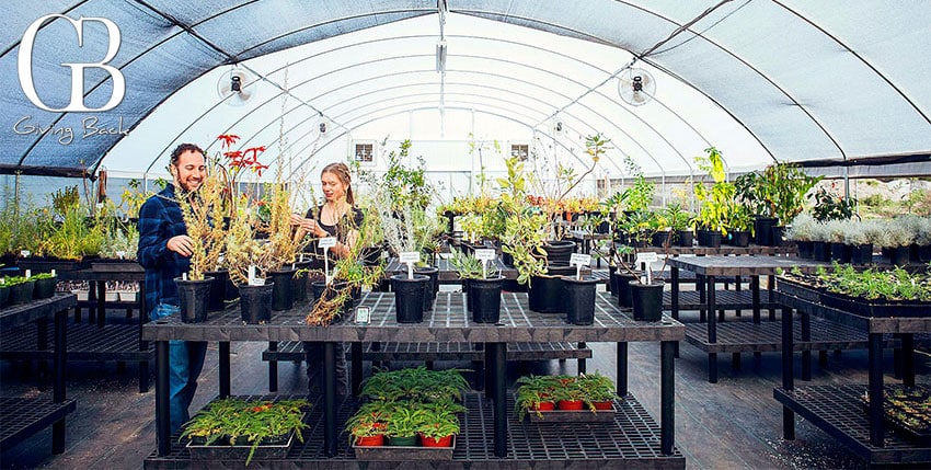 NONPROFIT - GB Magazine NONPROFIT