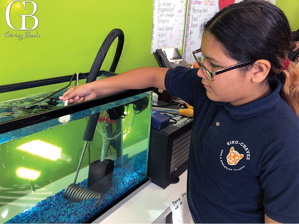 Student checking a trout egg during the Trout in the Classroom program