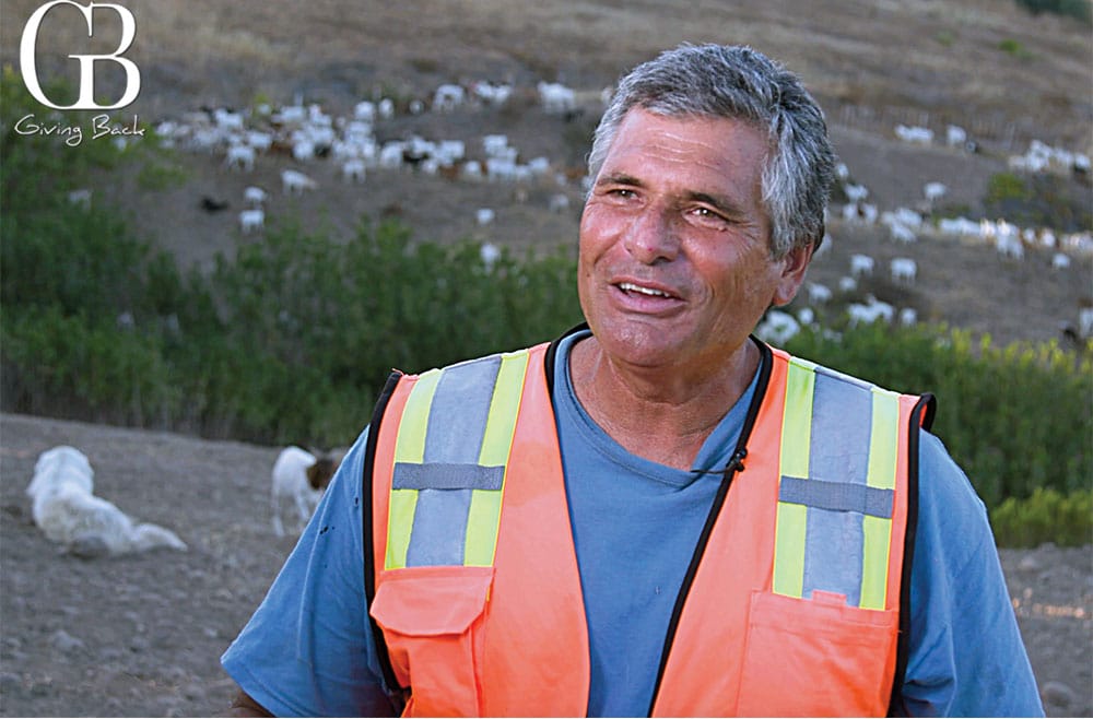 Johnny Gonzales has goats that are contracted for fire prevention in San Diego County