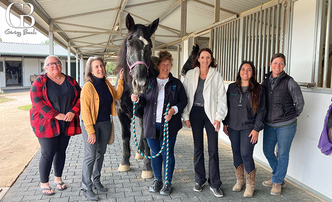 Partners working with client Ivey Ranch Park Association during a recent consulting engagement.
